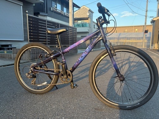 マリン　ドンキーJr. 24