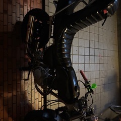 エイプ50の画像