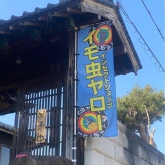 インセクトショップイモ虫ヤローです。