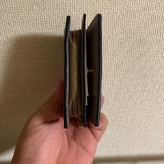 ルイヴィトン財布の画像