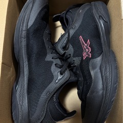 ◇28cm
◇Asics GLIDE NOVA FF 3 の画像