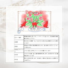 【送料無料】【解説書付】命術・朴術を融合したオリジナルカードの画像