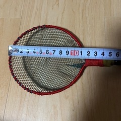 手作りタモ
の画像