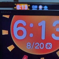 ＳＯＮＹ　ＢＲＡＶＩＡ　４６形の画像