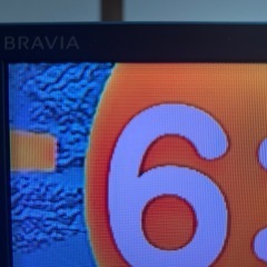 SONY BRAVIA  ５５形の画像
