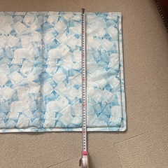 ペット用 ひんやりジェルマットの画像