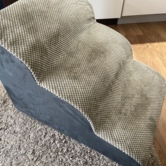 ペットの階段
の画像
