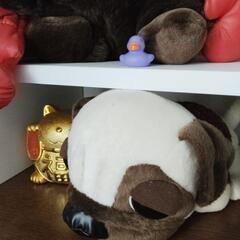 1000円均一ぬいぐるみ　うちのたま皿等の画像