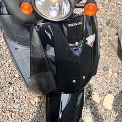 トゥデイの画像