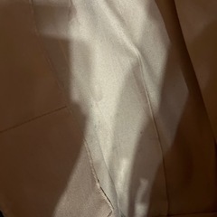 難あり黒バックの画像