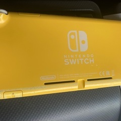 本日夕方まで限定Switchライト本体の画像