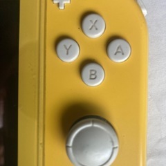 本日夕方まで限定Switchライト本体の画像
