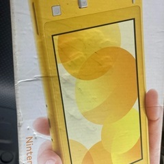 本日夕方まで限定Switchライト本体の画像