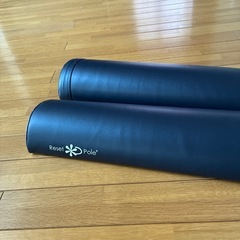 バランスマット？と筋膜剥がしローラーの画像