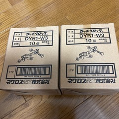 DYR1-W3　20個の画像