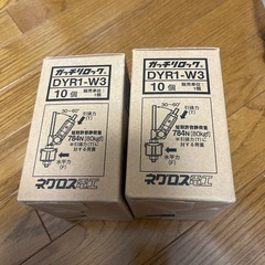 DYR1-W3　20個の画像