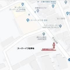 メダカの稚魚２０匹、無償譲渡（整理№1-2/2）の画像