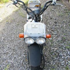 短期投稿 整備できる方限定 ⑥ 南国 人気 限定車 白 ズーマー レストアベース 現在不動 原付　50ccの画像