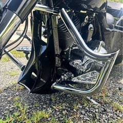 ロードキングの画像