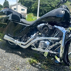 ロードキングの画像