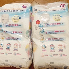 メリーズ ビック2袋セットの画像