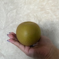 梨【幸水】5個入り‼️の画像