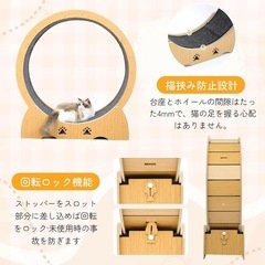 【美品】キャットホイールの画像