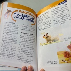 ハムスターとなかよく暮らす本の画像