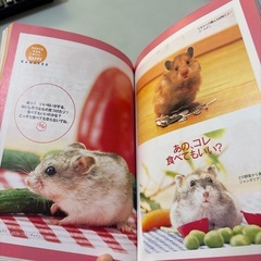 ハムスターとなかよく暮らす本の画像
