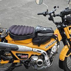 HONDA CT125 ハンターカブ 2024年 イエローの画像