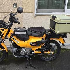 HONDA CT125 ハンターカブ 2024年 イエローの画像