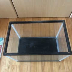 水槽の画像