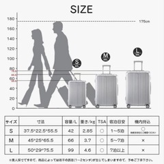 Tornare シルバー キャリーケース Sサイズ 42Lの画像