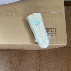引き取り予定者あり。
ライトの画像