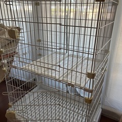 あげます！引き取り　猫　ペットゲージ　大型猫用の画像