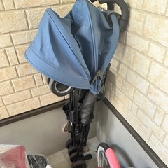 バギーの画像