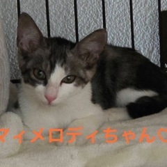 生後2ヶ月のラブリーな女の子(*´ω｀*)