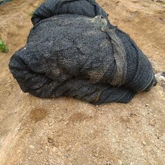⑫遮光ネット黒ラッセル50%　2m x 50m　状態並の画像