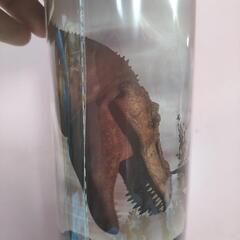 恐竜　ウォーターボトルの画像