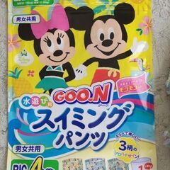 水あそび用パンツ6枚(ビック)未使用の画像