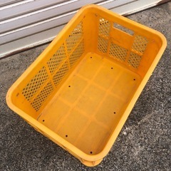 みかん箱　ケース　の画像