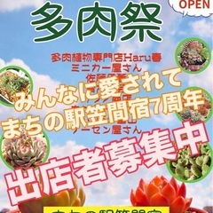2025 11/2「多肉祭」と昔ながらの「青空市」フリーマ…