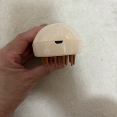 猫　スチームブラシの画像