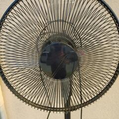 東芝 扇風機の画像