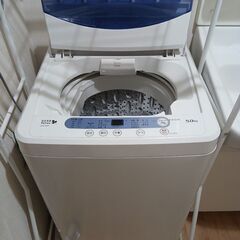 【1〜2人暮らし向け】ヤマダ電機オリジナル　YWM -T50A1(5kg)の画像