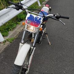 TLM 220Rの画像