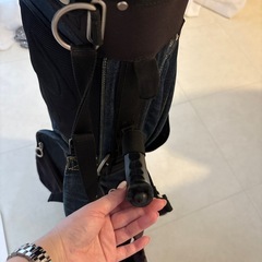 EVISU ゴルフバッグの画像