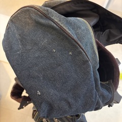 EVISU ゴルフバッグの画像