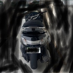 マジスティーの画像