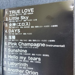値下げ/藤井フミヤ　CD/STANDARDの画像
